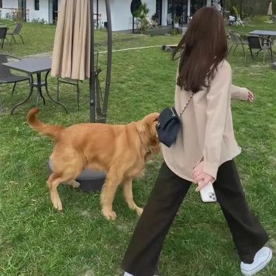 花轿泪